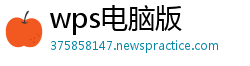 wps电脑版